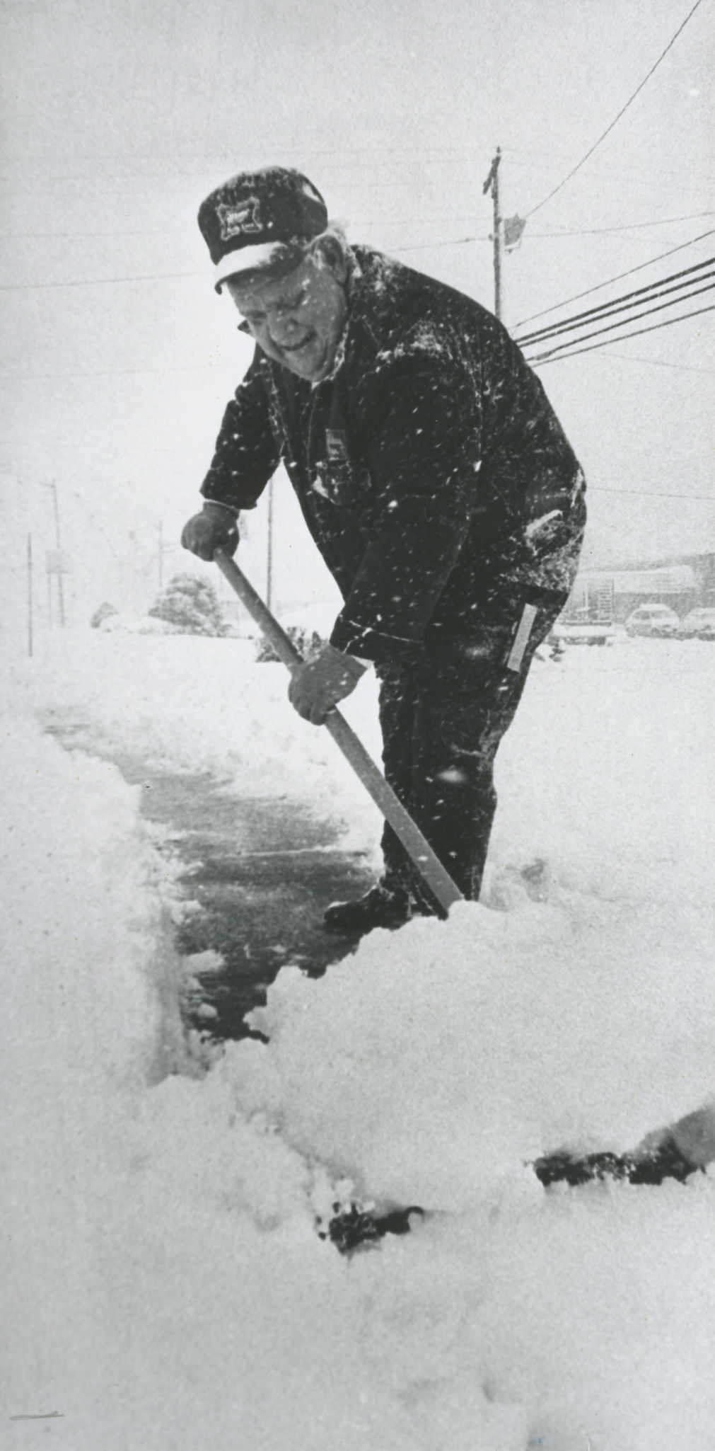1984 Blizzard